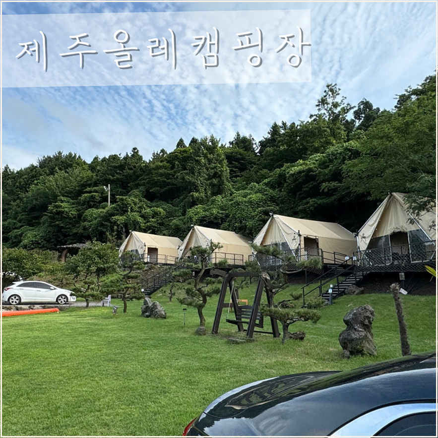 제주올레캠핑 사진 1