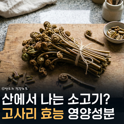 산에서 나는 소고기 고사리 효능! 진짜 정력 떨어뜨릴까?