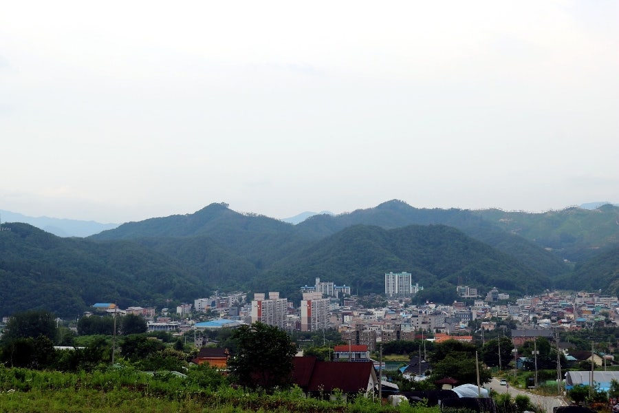 르쏠레이475 사진 4