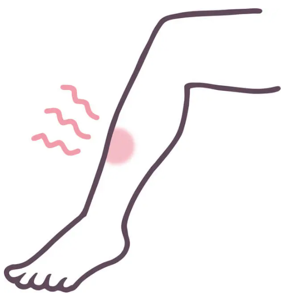 지네에 물렸을 때 절대 금지 행동과 통증 가라앉히는 3단계 응급처치법