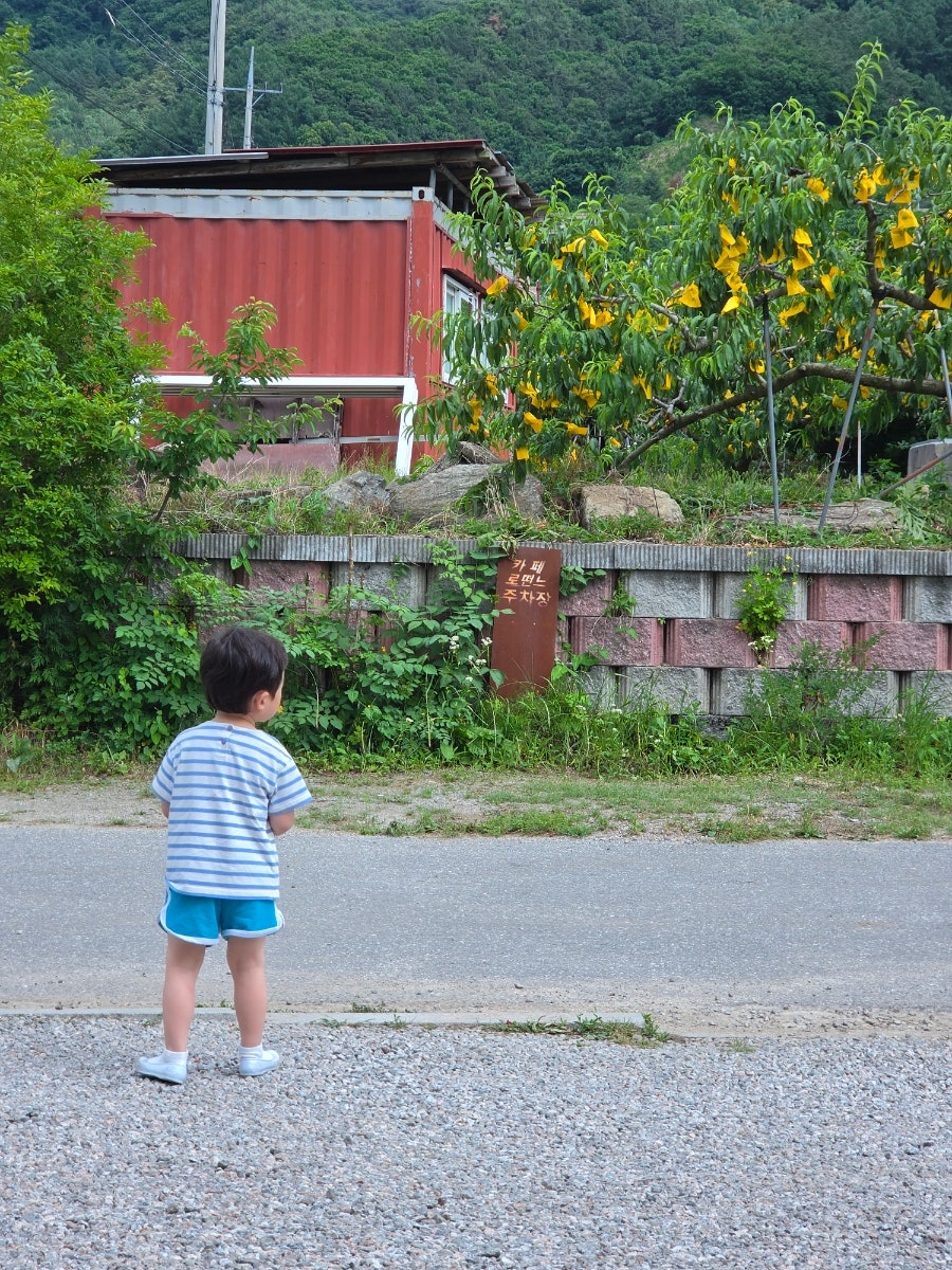 로떤느 사진 2