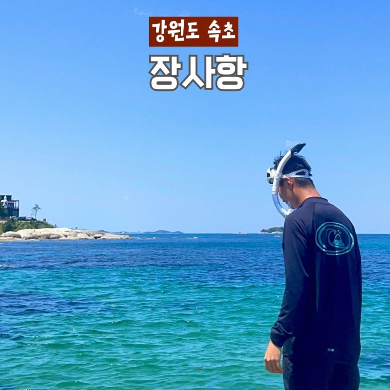 속초 장사항 취사 가능한 스노쿨링 명소 샤워실 화장실 있는 동해바다 추천