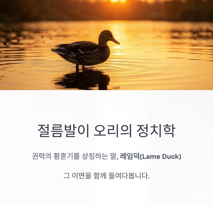 <b>레임덕 뜻</b>, 권력의 저물어가는 노을과 민주주의의 숨은 순기능