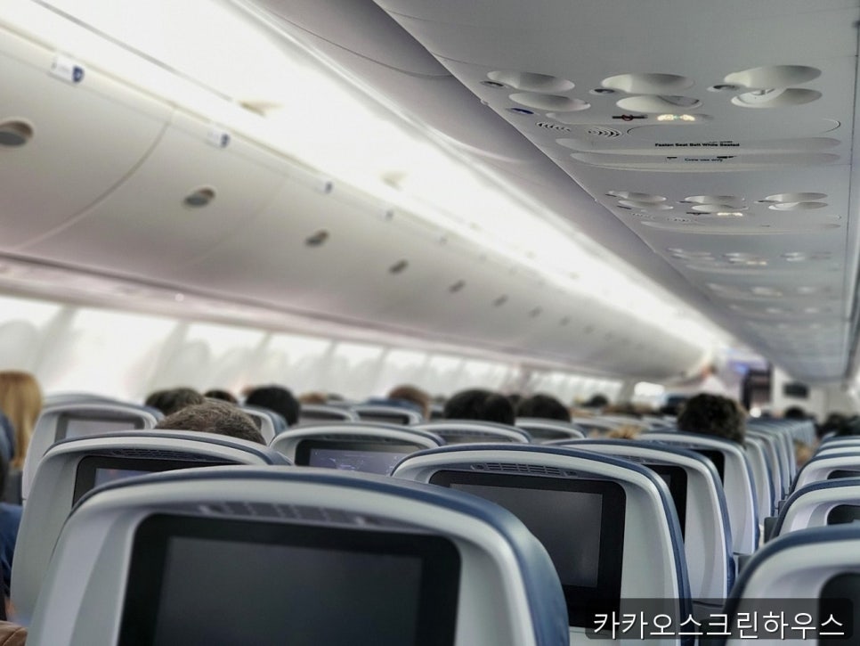 카카오스크린하우스 사진 3