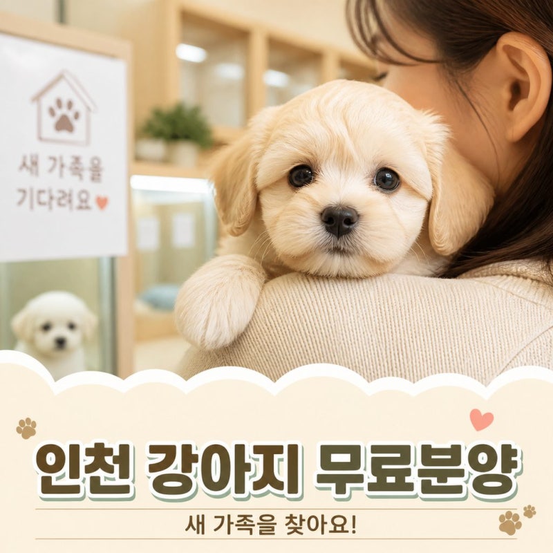 인천강아지무료분양 , 그리고 책임감