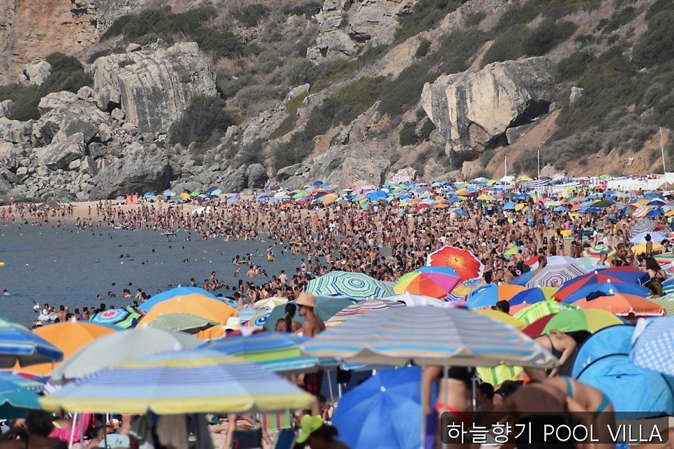 하늘향기 사진 3