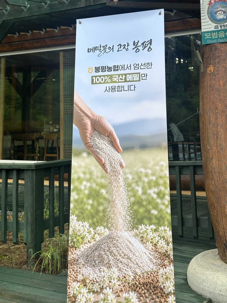 메밀꽃향기 사진 3