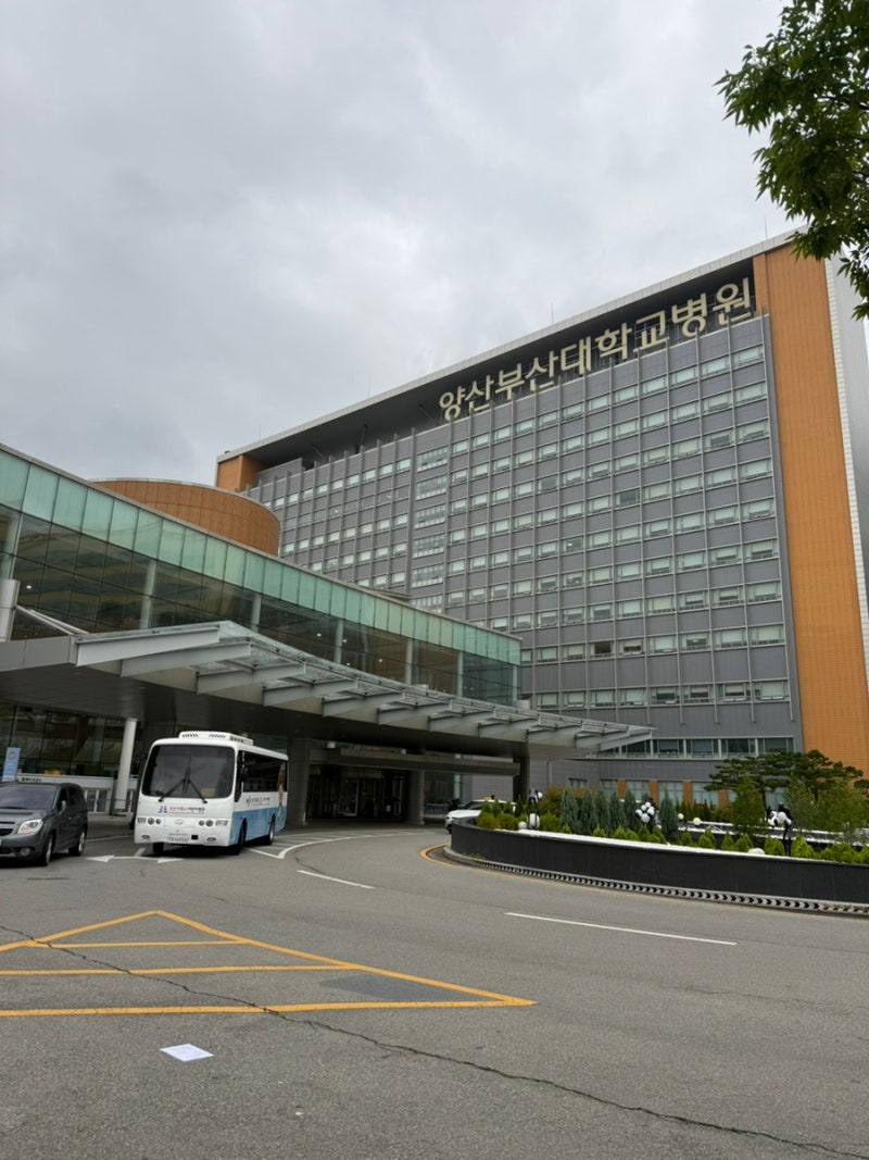 20대 HSIL 진단 후 원추절제술 권유받은 이야기｜자궁경부암 검사 후기 양산부산대병원 원추....