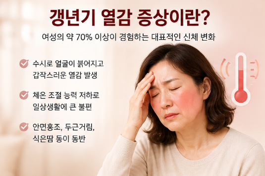 여성 갱년기 열감 증상 원인과 완화에 좋은 음식 4가지