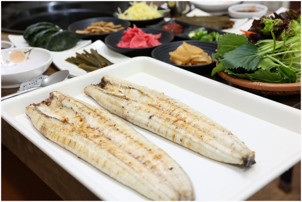 풍천장어 사진 4