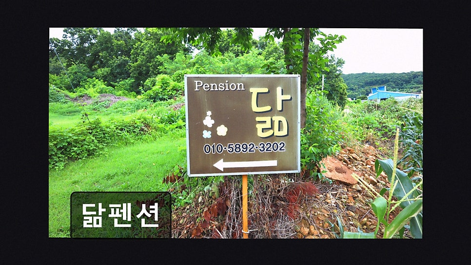 닮펜션 사진 2
