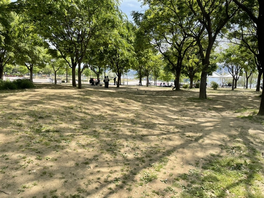 연정분식 사진 6