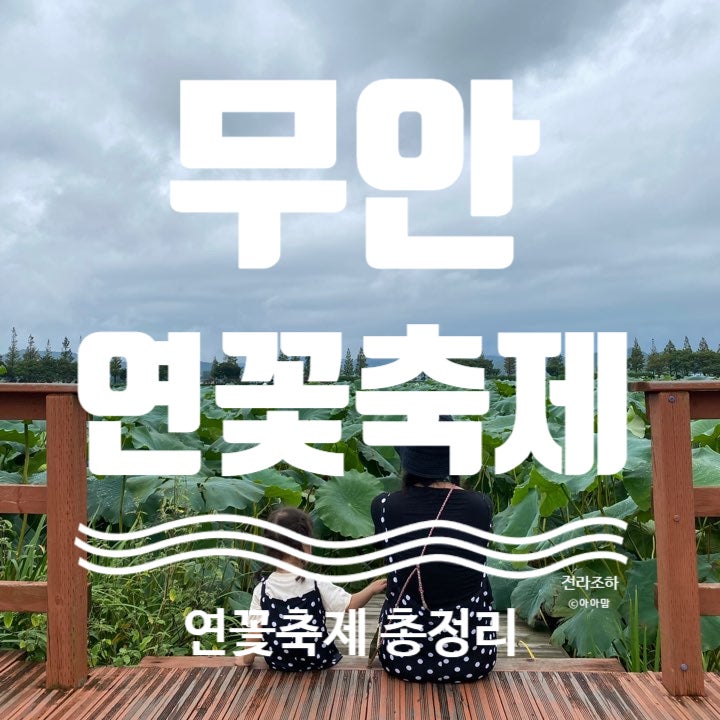 [무안] 제29회 무안연꽃축제 | 일정 및 주차 총정리
