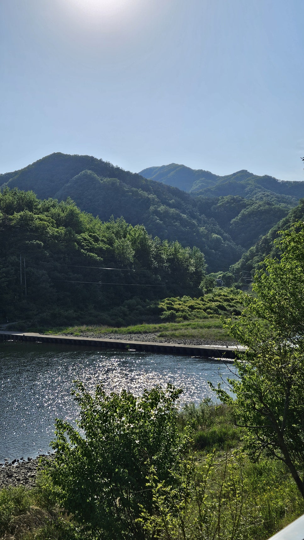 풀그리다 사진 1