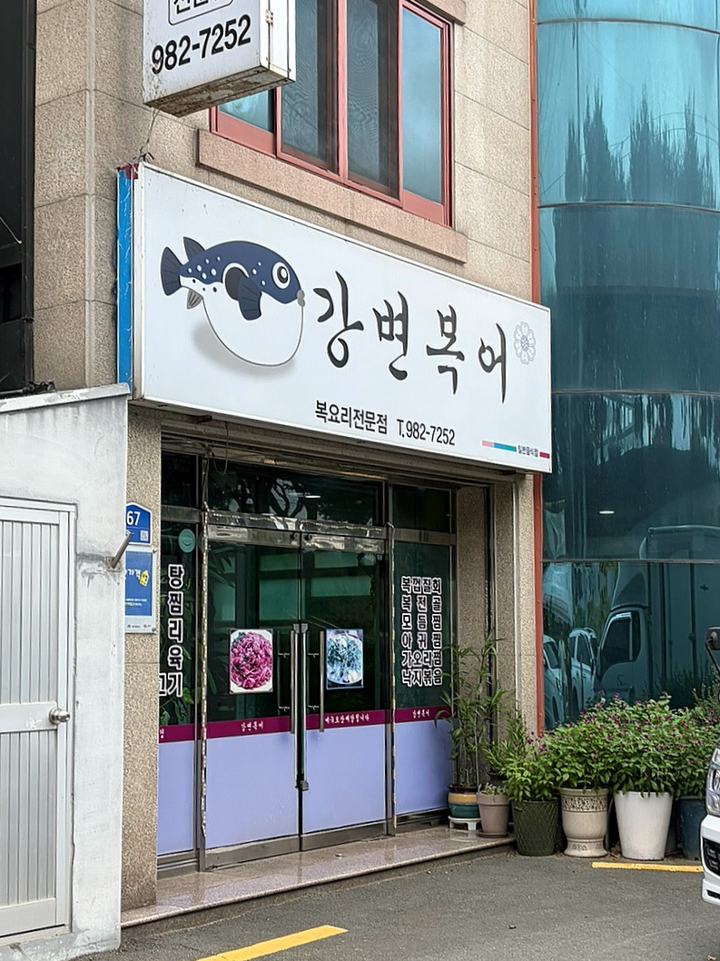 강변복어 사진 2