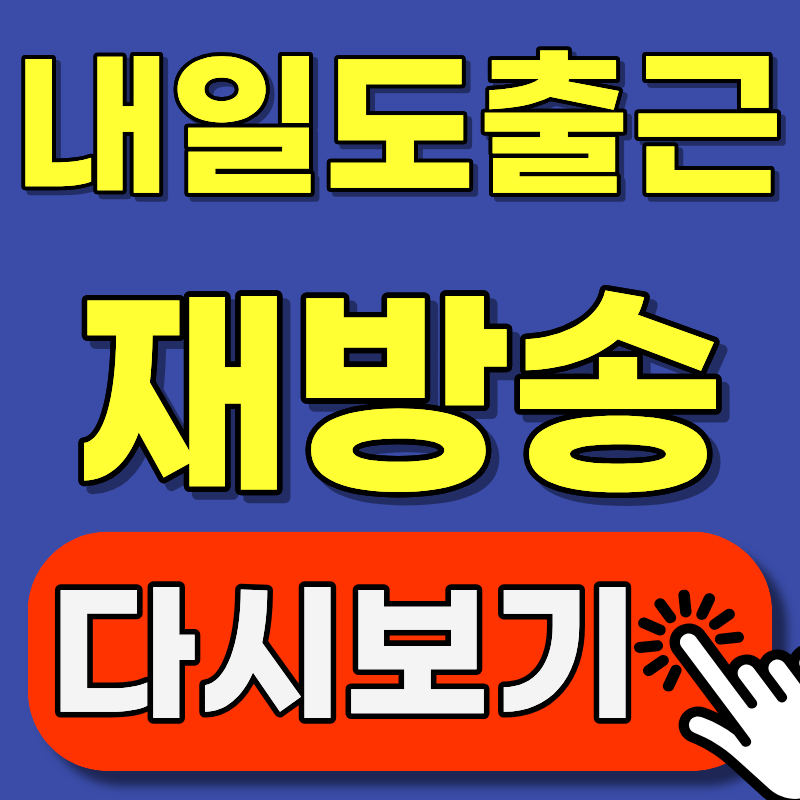 tvN 내일도 출근 재방송 편성표 + TVING·웨이브 다시보기 방법