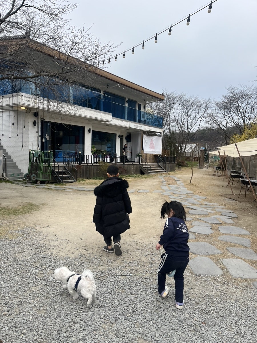 노릇노릇 사진 5
