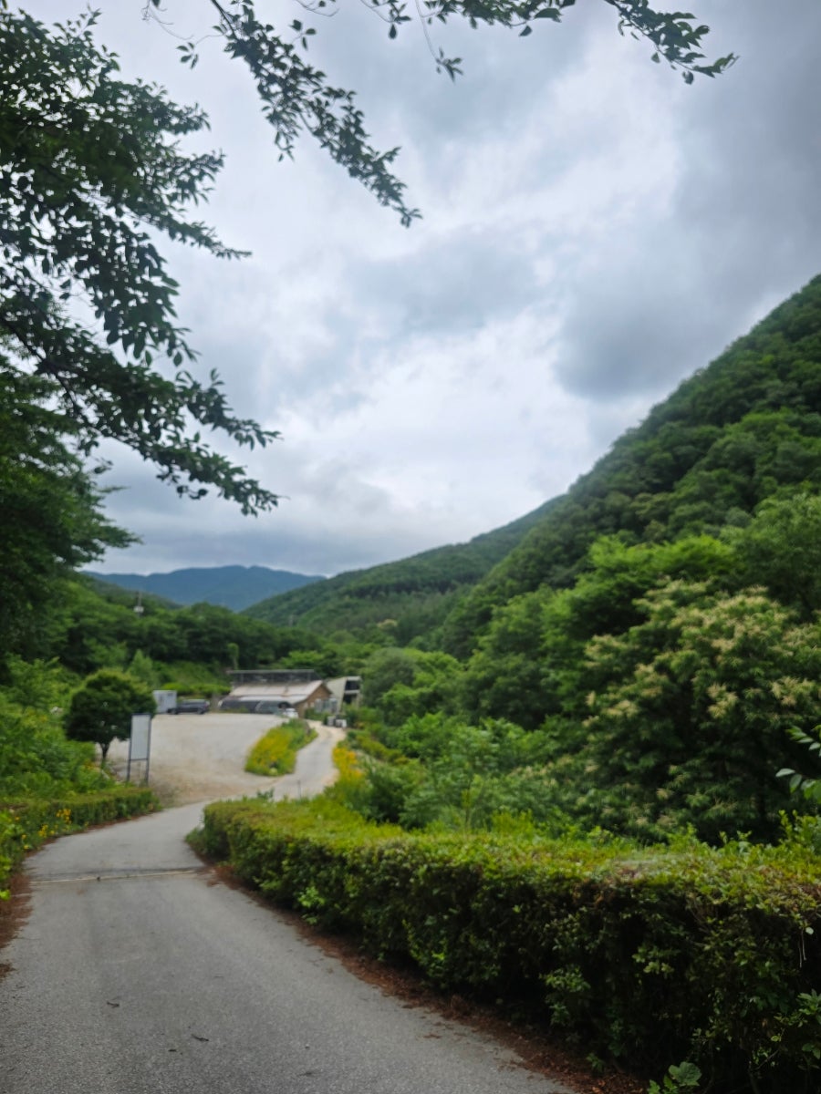 명랑가옥 사진 4