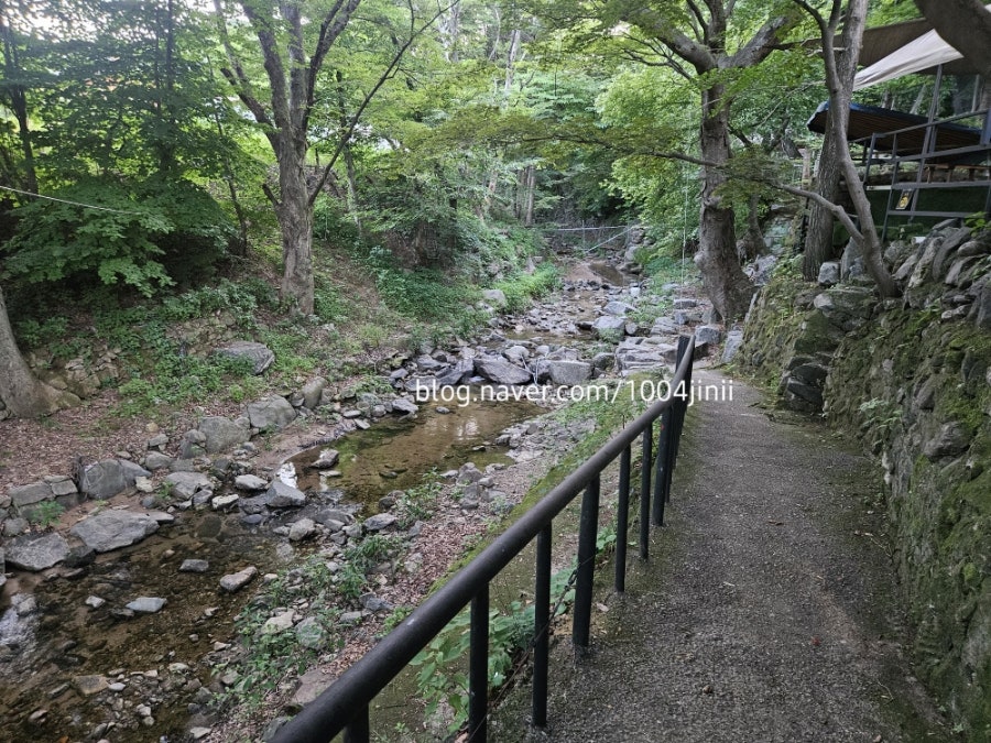 동촌 사진 5