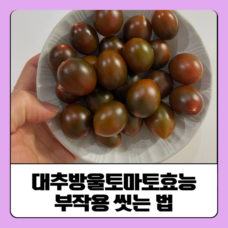 대추방울토마토효능 부작용 씻는 법 총정리했어요