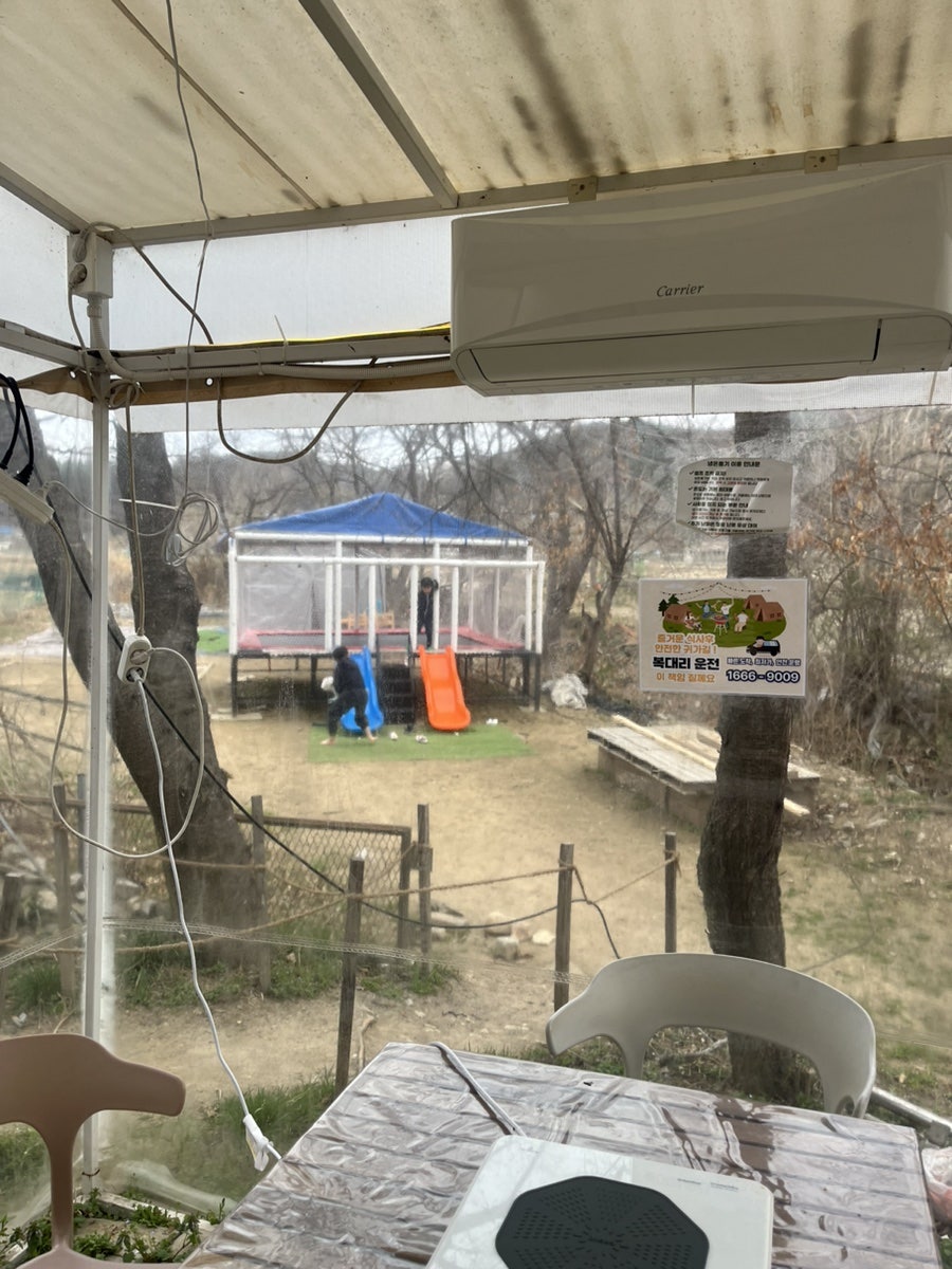 노릇노릇 사진 6
