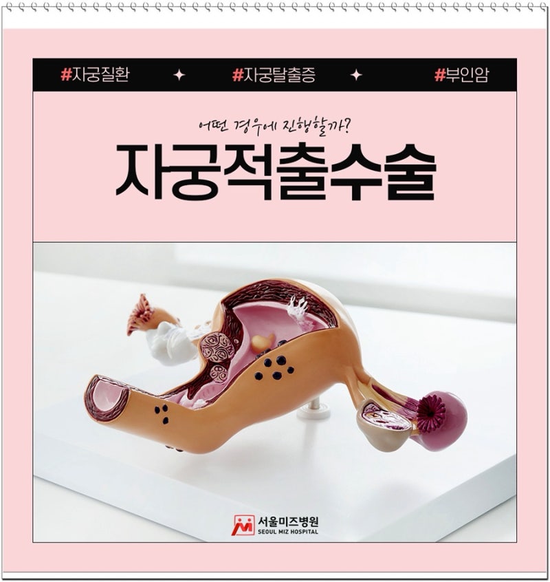 자궁적출수술 회복기간 어떤 경우에 진행할까