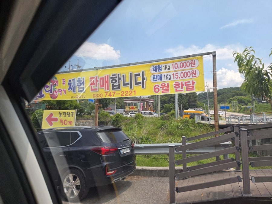 오디 사진 6