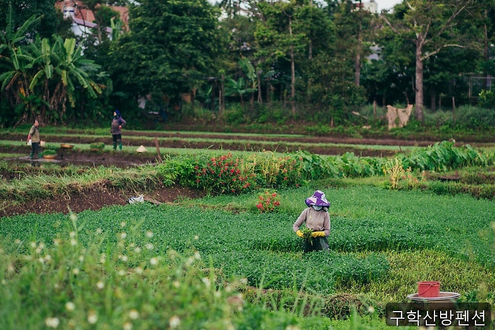 구학산방 사진 1