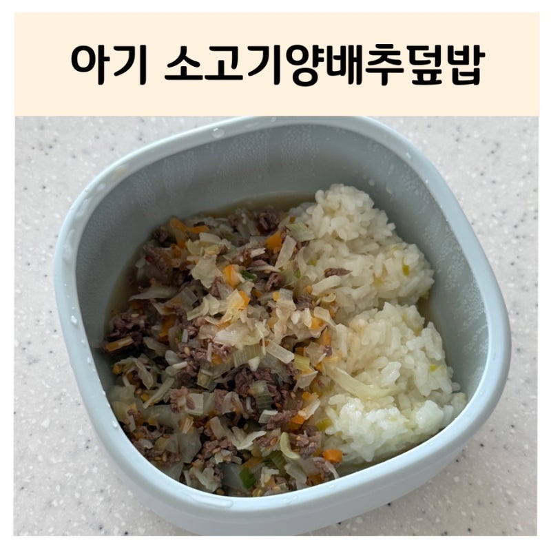 [ 무염 유아식 ] 아기 소고기양배추덮밥