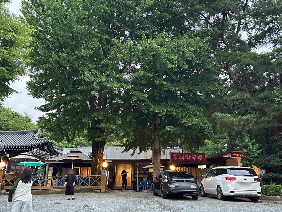 메밀향 사진 2