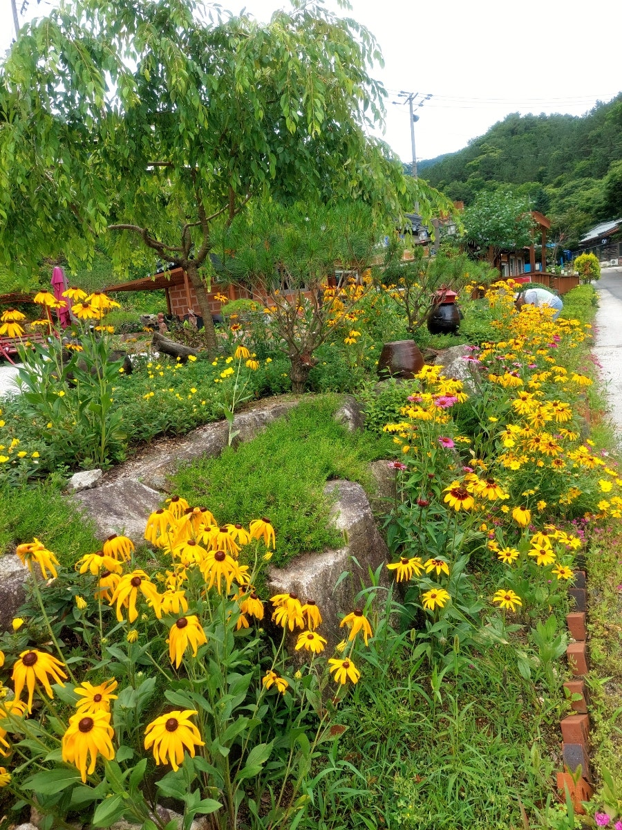 청계산장 사진 4