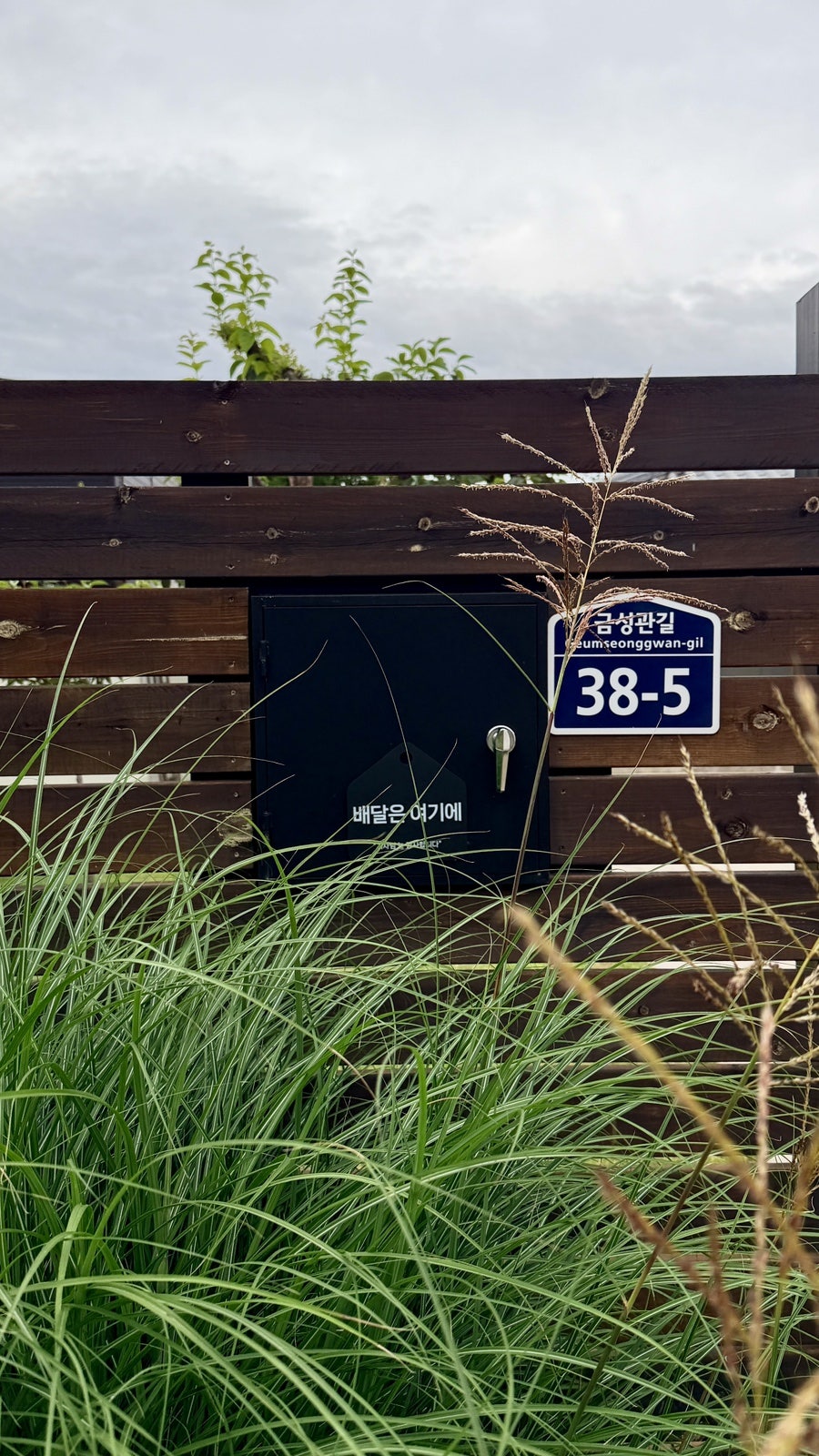 스테이은신희 사진 3