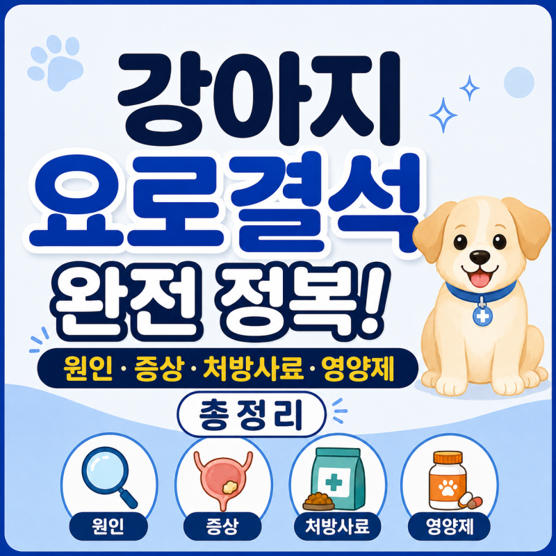 강아지 요로결석 완전 정복! 원인·증상·처방 사료·영양제 총정리