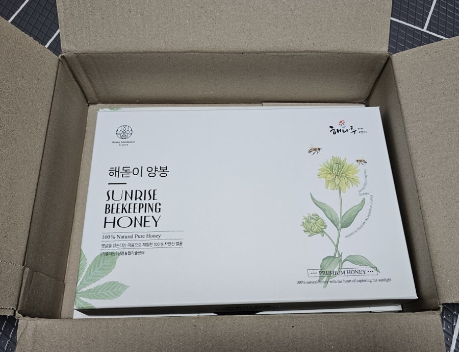 해돋이 사진 3