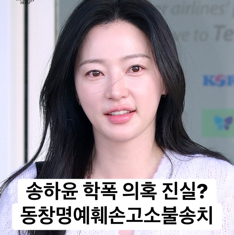 송하윤 근황 졸업 사진 86년생 송하윤 김미선 동창 명예훼손 고소 6개월 수사 끝 나온 결론 불....