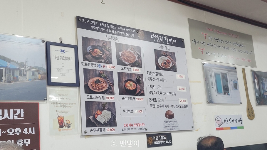 다람쥐할머니 사진 5