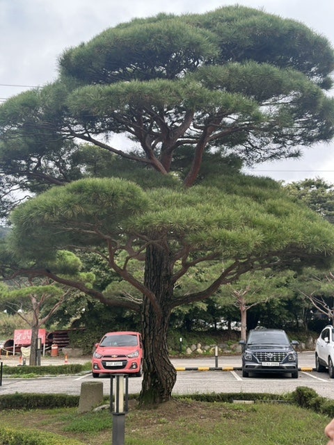 브리즈131 사진 3