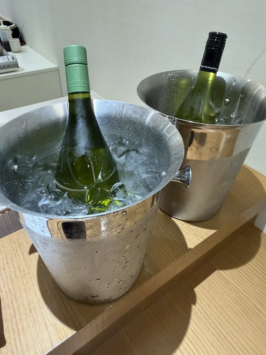 사철국화 사진 6