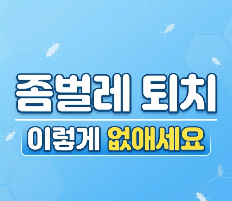 좀벌레 퇴치, 집에서 쉽게 없애는 방법 꿀팁
