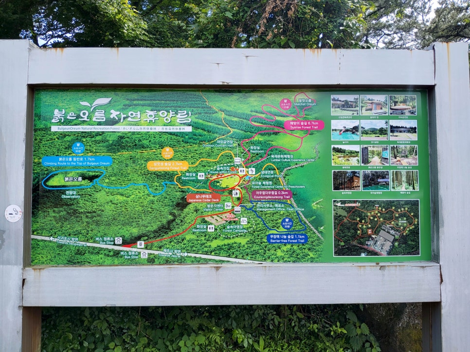 붉은오름자연휴양림 숲속야영장 사진 1