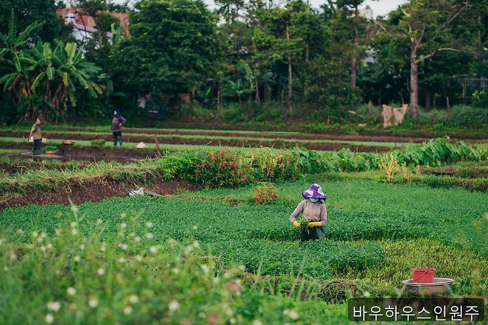 바우하우스인원주 사진 2