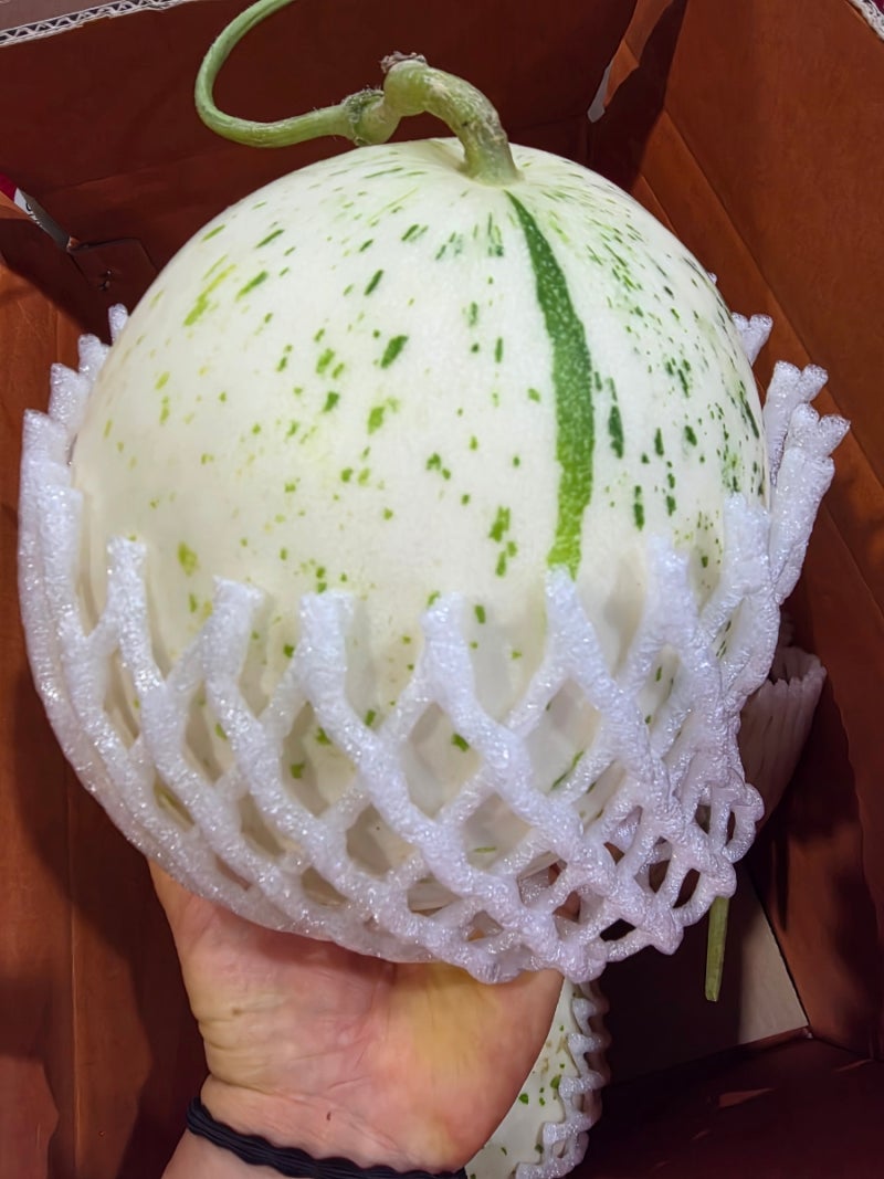 함안 멜론 1.6kg 2수 후숙전 11브릭스 2수
