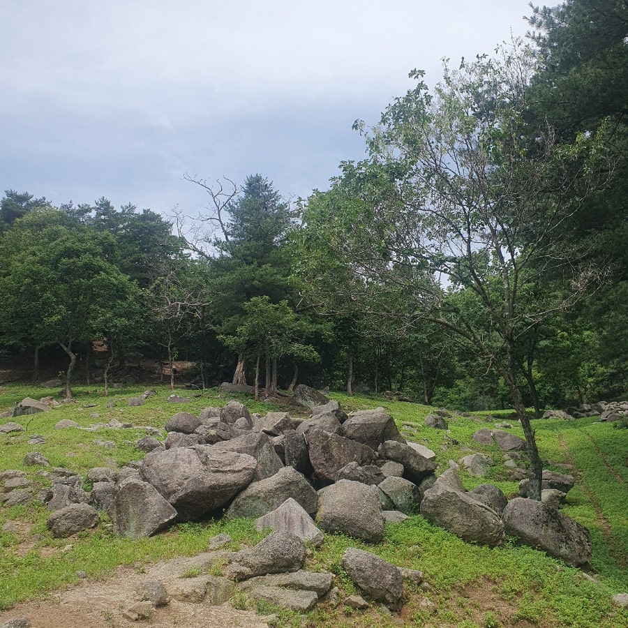 호명산 두레펜션 캠핑장 사진 6