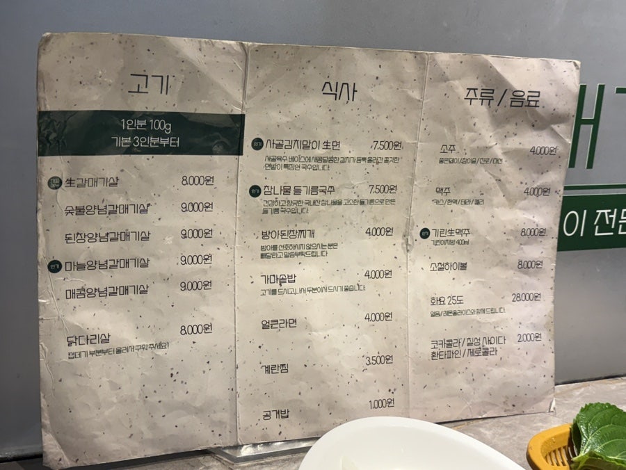 소철갈매기 사진 3