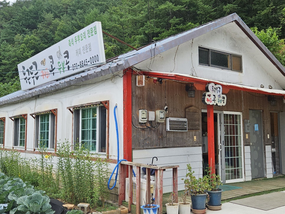 두근두근콩콩 사진 2