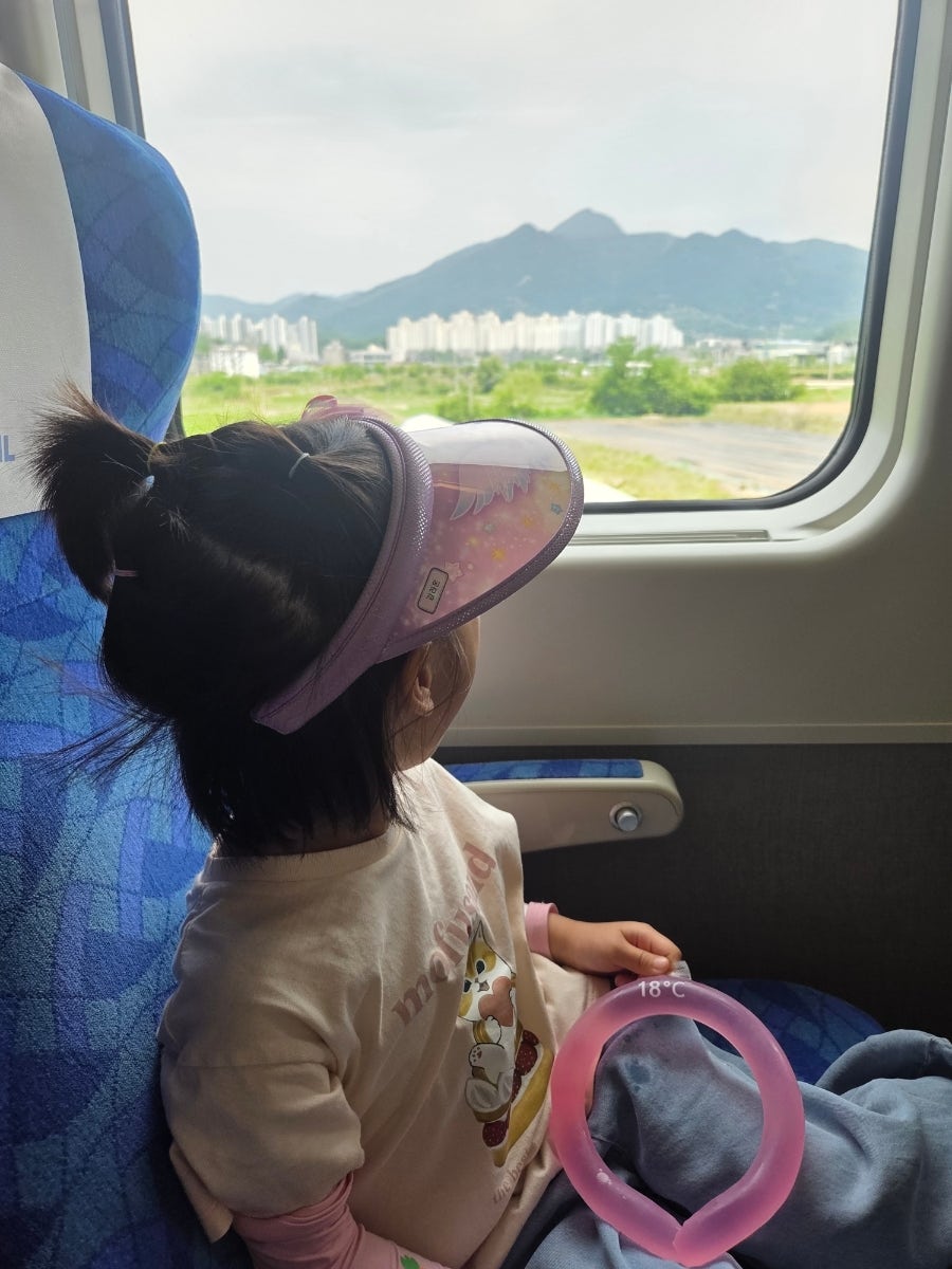오디 사진 5