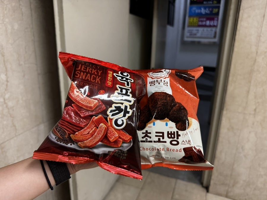 다희 사진 3
