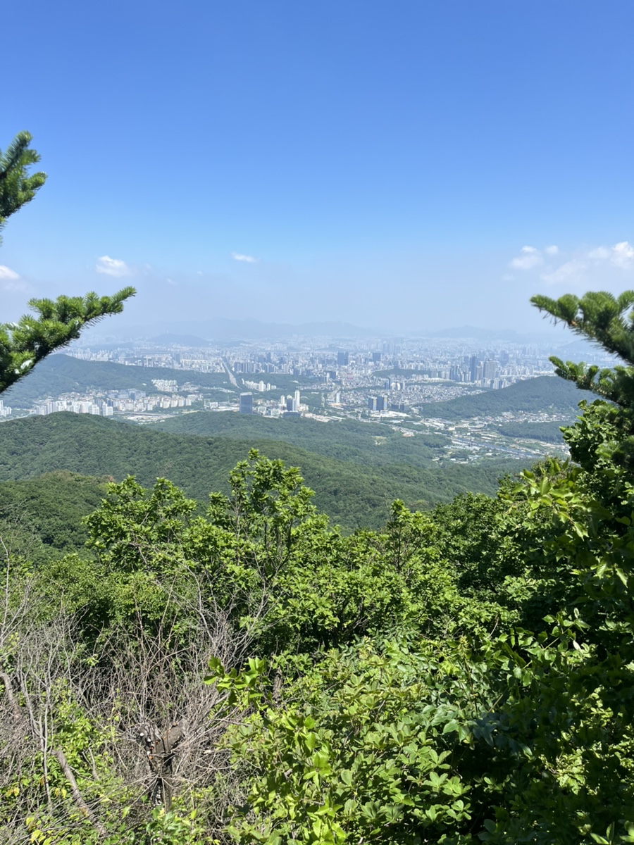 명동함흥면옥 본점 사진 4