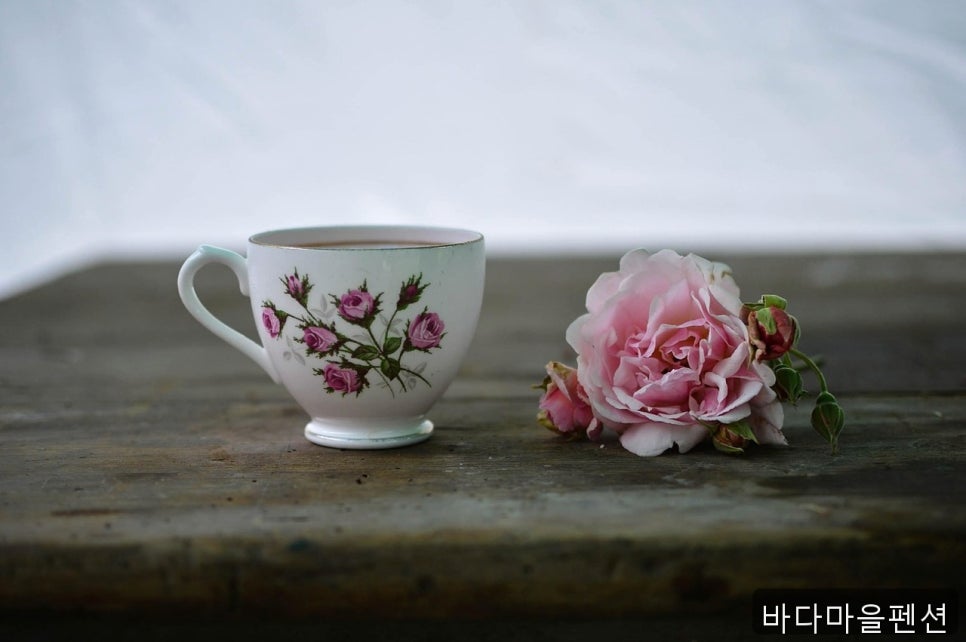 바다마을 사진 1