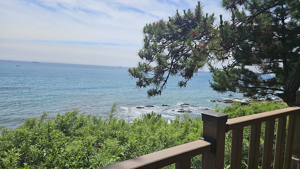 광어골왕칼국수 송정본점 사진 3
